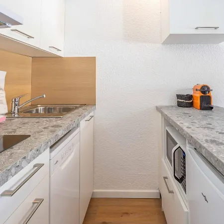 Apartment Avec Mezzanine, Retour Skis Aux Pieds, Proche Remontee Mecanique - Fr-1-645-28